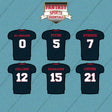 Houston Texans 2025 Home Jersey Car Decals (Choose Your Player) Page 1