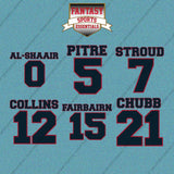 Houston Texans 2025 Name and Number Car Decals (Choose Your Player) Page 1