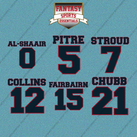 Houston Texans 2025 Name and Number Car Decals (Choose Your Player) Page 1