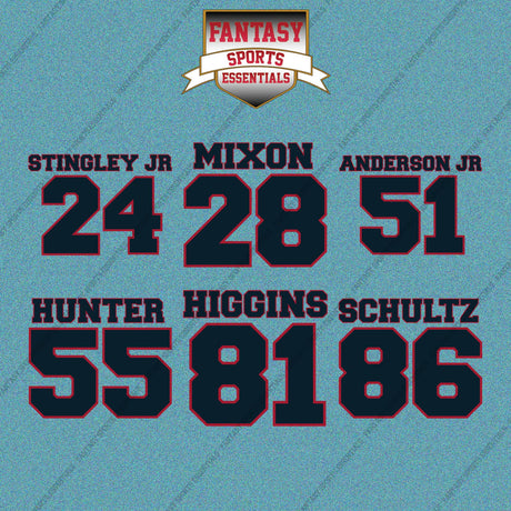 Houston Texans 2025 Name and Number Car Decals (Choose Your Player) Page 2