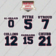Houston Texans 2025 Name and Number Glossy Stickers (Choose Your Player) Page 1
