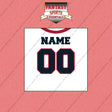 Houston Texans Personalized Current Away Jersey Wall Art Prints