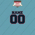 Houston Texans Personalized Current Name and Number Car Decals