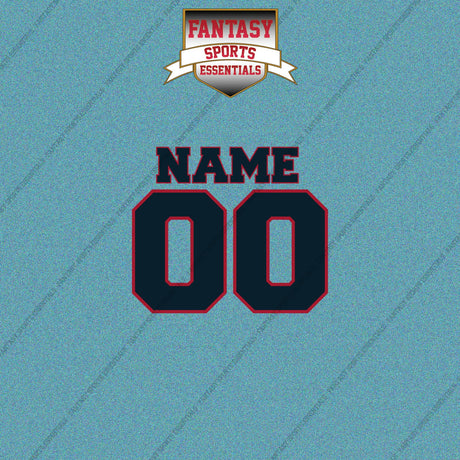 Houston Texans Personalized Current Name and Number Car Decals