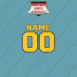 Indiana Pacers Personalized Current Name and Number Car Decals