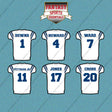 Indianapolis Colts 2025 Away Jersey Car Decals (Choose Your Player) Page 1