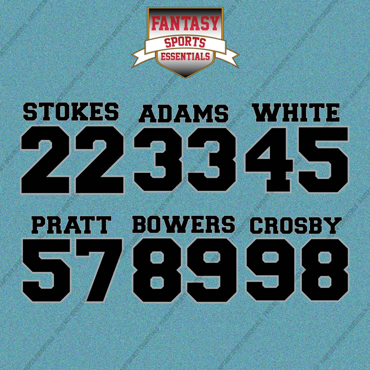 Las Vegas Raiders 2025 Name and Number Car Decals (Choose Your Player) Page 2