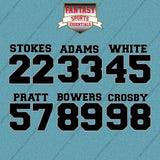 Las Vegas Raiders 2025 Name and Number Car Decals (Choose Your Player) Page 2