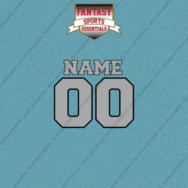 Las Vegas Raiders Personalized Current Name and Number Car Decals