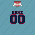Los Angeles Clippers Personalized Current Name and Number Car Decals