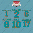 Miami Dolphins 2025 Name and Number Car Decals (Choose Your Player) Page 1