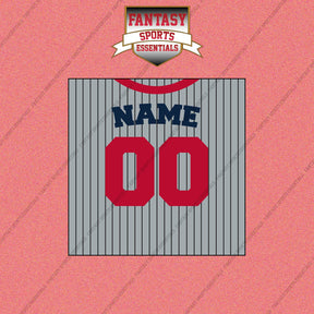 Minnesota Twins Personalized Current Away Jersey Wall Art Prints