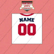 Minnesota Twins Personalized Current Home Jersey Wall Art Prints