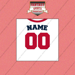 Minnesota Twins Personalized Current Home Jersey Wall Art Prints