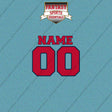 Minnesota Twins Personalized Current Name and Number Car Decals