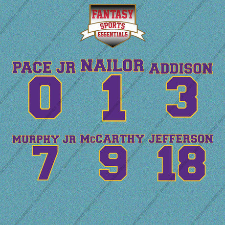 Minnesota Vikings 2025 Name and Number Car Decals (Choose Your Player) Page 1