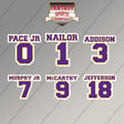 Minnesota Vikings 2025 Name and Number Magnets (Choose Your Player) Page 1