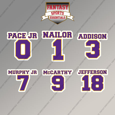 Minnesota Vikings 2025 Name and Number Magnets (Choose Your Player) Page 1