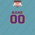 Minnesota Vikings Personalized Current Name and Number Car Decals