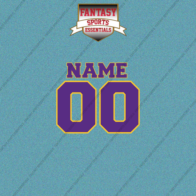 Minnesota Vikings Personalized Current Name and Number Car Decals