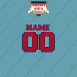 Montreal Canadiens Personalized Current Name and Number Car Decals