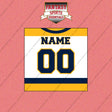 Nashville Predators Personalized Current Away Jersey Wall Art Prints