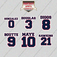 New England Patriots 2025 Name and Number Glossy Stickers (Choose Your Player) Page 1