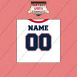 New England Patriots Personalized Current Away Jersey Wall Art Prints
