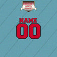 New Jersey Devils Personalized Current Name and Number Car Decals