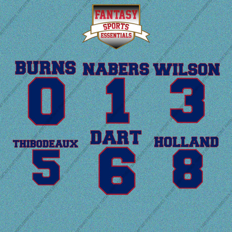 New York Giants 2025 Name and Number Car Decals (Choose Your Player) Page 1