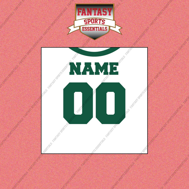 New York Jets Personalized Current Away Jersey Wall Art Prints