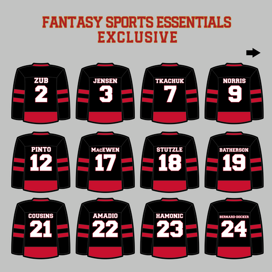 Ottawa Senators 2024 Home Jersey Magnets