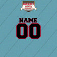 Ottawa Senators Personalized Current Name and Number Car Decals