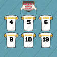 Pittsburgh Steelers 2025 Away Jersey Car Decals (Choose Your Player) Page 1