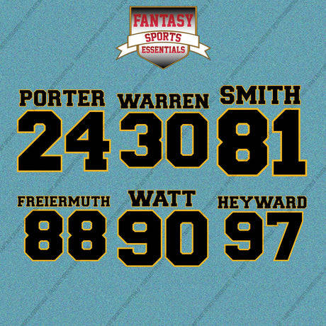Pittsburgh Steelers 2025 Name and Number Car Decals (Choose Your Player) Page 2