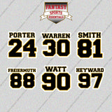 Pittsburgh Steelers 2025 Name and Number Glossy Stickers (Choose Your Player) Page 2
