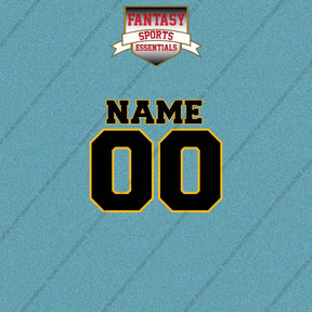 Pittsburgh Steelers Personalized Current Name and Number Car Decals