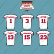 San Francisco 49ers 2025 Away Jersey Car Decals (Choose Your Player) Page 1