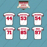 San Francisco 49ers 2025 Away Jersey Car Decals (Choose Your Player) Page 2