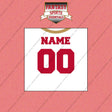 San Francisco 49ers Personalized Current Away Jersey Wall Art Prints