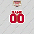 San Francisco 49ers Personalized Current Name and Number Glossy Stickers