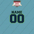 Seattle Seahawks Personalized Current Name and Number Car Decals