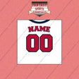 St. Louis Cardinals Personalized Current Home Jersey Wall Art Prints