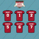 Tampa Bay Buccaneers 2025 Home Jersey Car Decals (Choose Your Player) Page 1