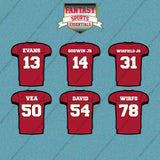 Tampa Bay Buccaneers 2025 Home Jersey Car Decals (Choose Your Player) Page 2