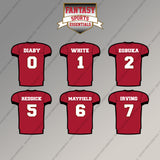 Tampa Bay Buccaneers 2025 Home Jersey Magnets (Choose Your Player) Page 1