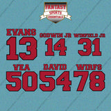 Tampa Bay Buccaneers 2025 Name and Number Car Decals (Choose Your Player) Page 2