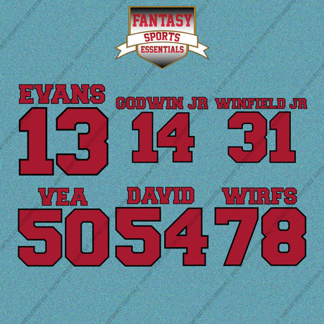 Tampa Bay Buccaneers 2025 Name and Number Car Decals (Choose Your Player) Page 2