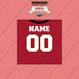 Tampa Bay Buccaneers Personalized Current Home Jersey Wall Art Prints
