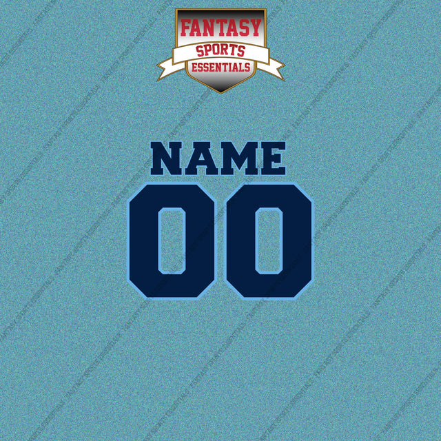 Tampa Bay Rays Personalized Current Name and Number Car Decals